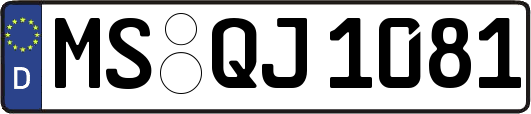 MS-QJ1081