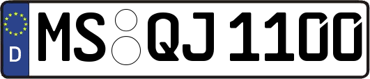 MS-QJ1100