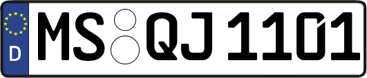 MS-QJ1101