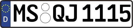 MS-QJ1115