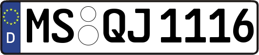 MS-QJ1116