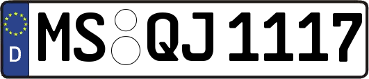 MS-QJ1117