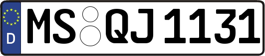 MS-QJ1131