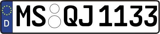 MS-QJ1133