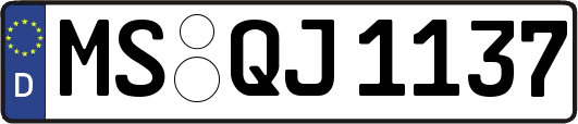 MS-QJ1137