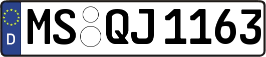 MS-QJ1163