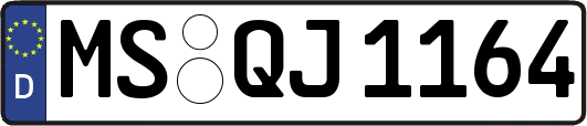 MS-QJ1164