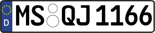 MS-QJ1166