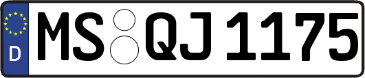 MS-QJ1175