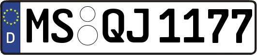 MS-QJ1177