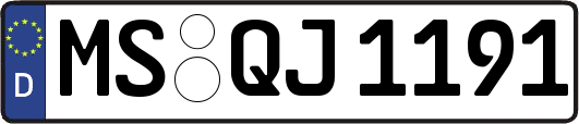 MS-QJ1191