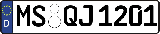 MS-QJ1201