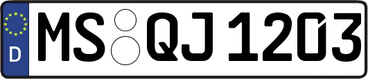 MS-QJ1203