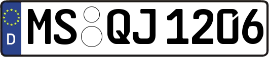 MS-QJ1206