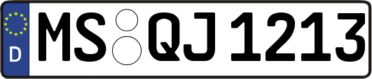 MS-QJ1213