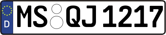 MS-QJ1217