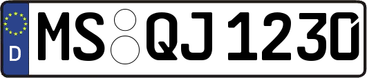 MS-QJ1230