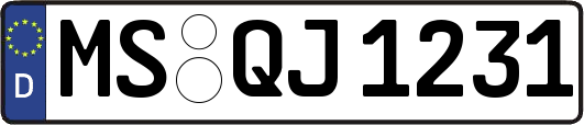 MS-QJ1231
