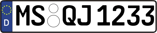 MS-QJ1233