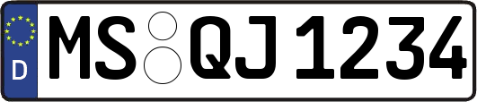 MS-QJ1234