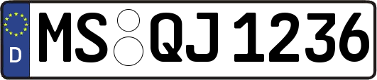MS-QJ1236