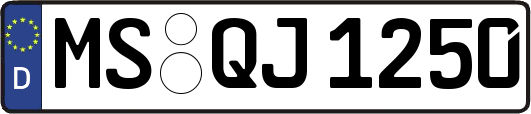 MS-QJ1250