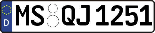 MS-QJ1251