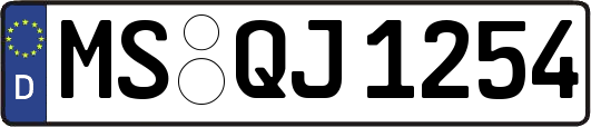 MS-QJ1254