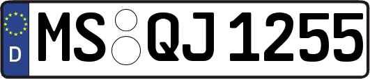 MS-QJ1255