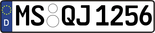 MS-QJ1256