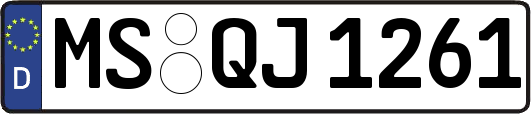 MS-QJ1261