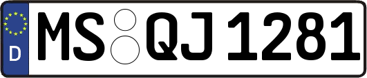 MS-QJ1281