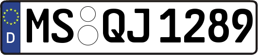 MS-QJ1289
