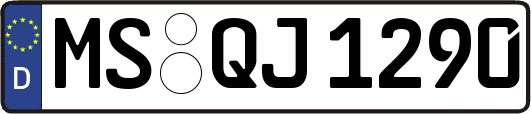 MS-QJ1290