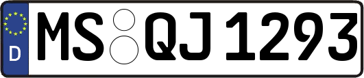 MS-QJ1293