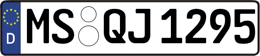 MS-QJ1295