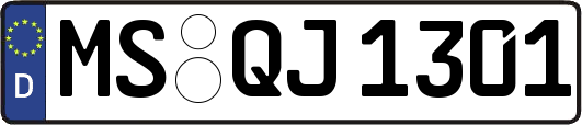 MS-QJ1301
