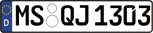 MS-QJ1303