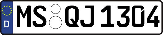 MS-QJ1304