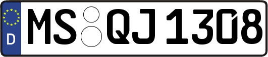 MS-QJ1308