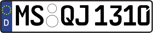 MS-QJ1310