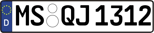 MS-QJ1312