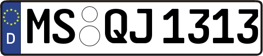 MS-QJ1313