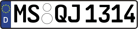 MS-QJ1314