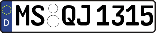 MS-QJ1315