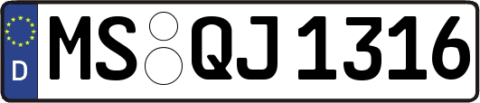 MS-QJ1316
