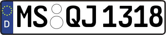 MS-QJ1318