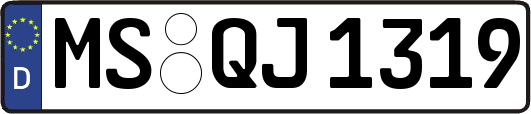 MS-QJ1319