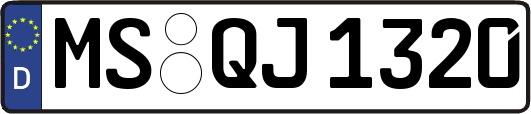 MS-QJ1320