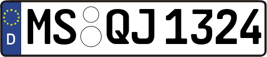 MS-QJ1324